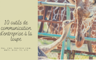 PNL, CNV, PROCESS COM, MBTI, DISC, EQI 2.0 …
