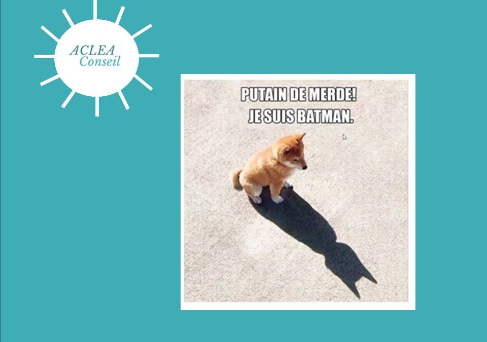 CITATION DU JOUR !