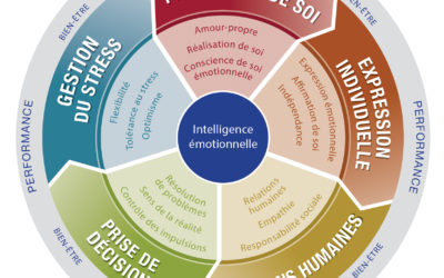 LA ROUE DE l’Intelligence emotionnelle  EQi 2.0.