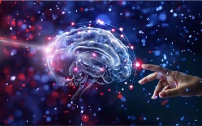 Quelle est votre forme d’intelligence ?