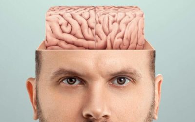 Hauts Potentiels : ces surdoués partageraient des traits de personnalité identiques